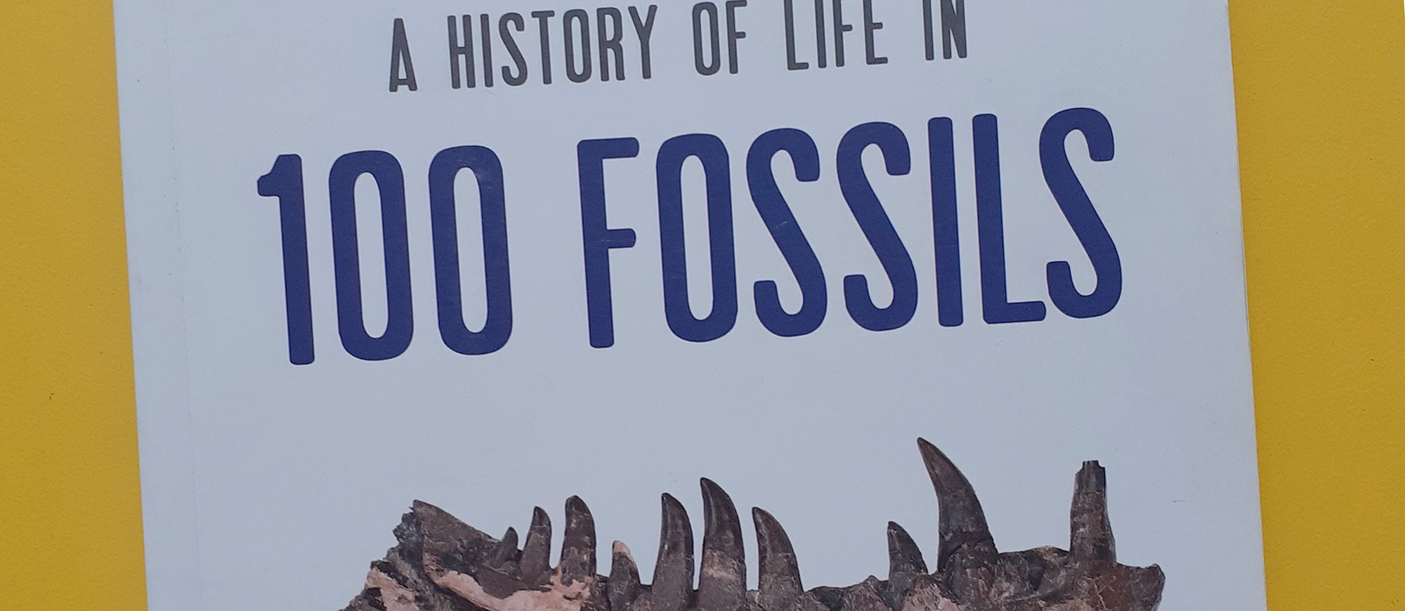 A history of life in 100 Fossils book